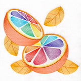 Rainbow Delights Citrus Feature