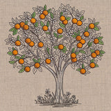Ready for Harvest Orange Tree Etching