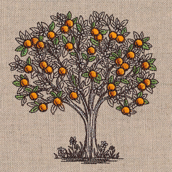 Ready for Harvest Orange Tree Etching