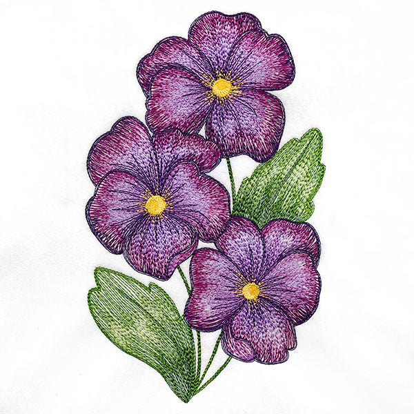 Textured and Lovely African Violets