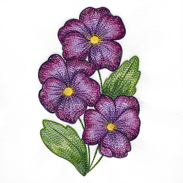 Textured and Lovely African Violets