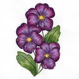 Textured and Lovely African Violets