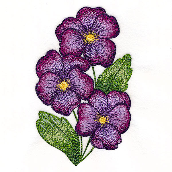 Textured and Lovely African Violets