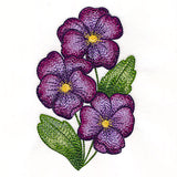 Textured and Lovely African Violets