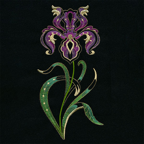 Jacobean Elegance Iris