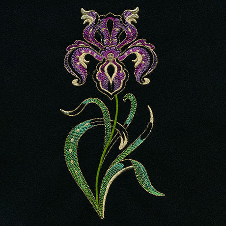 Jacobean Elegance Iris