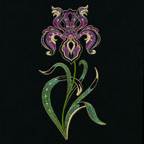 Jacobean Elegance Iris