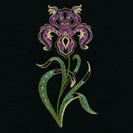 Jacobean Elegance Iris