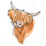 Quizzical and Cute Highland Cow