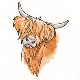 Quizzical and Cute Highland Cow