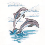 Leaping by the Seaside Dolphins