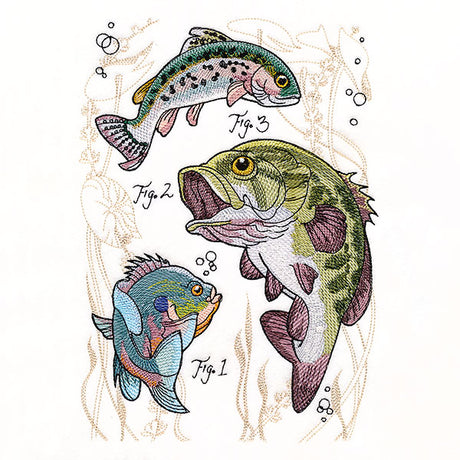 Scientific Fish Medley