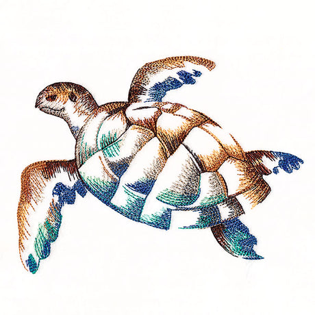 Contours of Beauty Sea Turtle