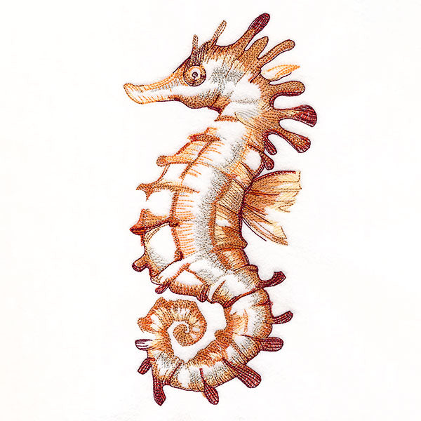 Contours of Beauty Seahorse