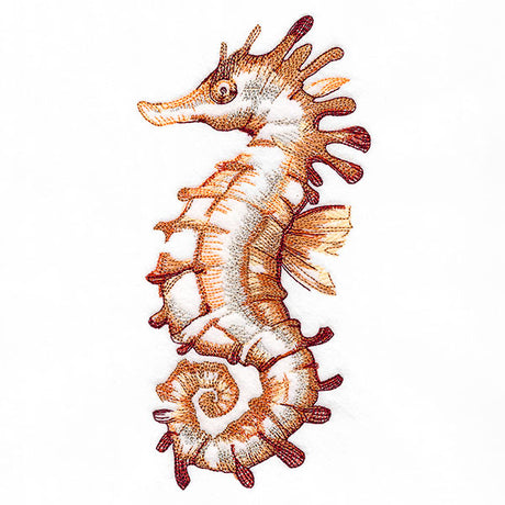 Contours of Beauty Seahorse