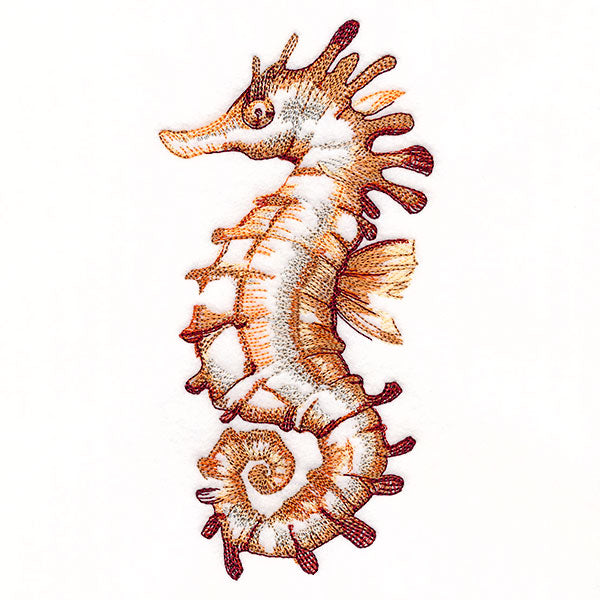 Contours of Beauty Seahorse