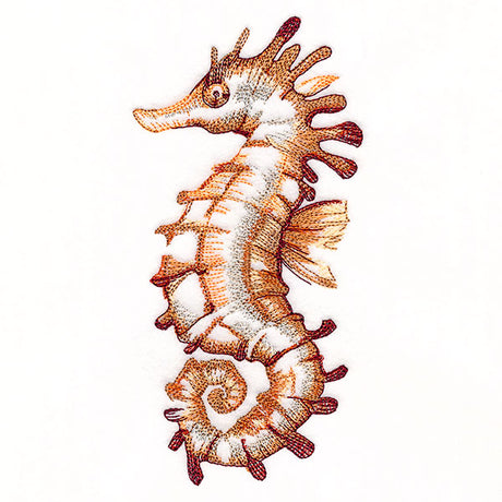 Contours of Beauty Seahorse