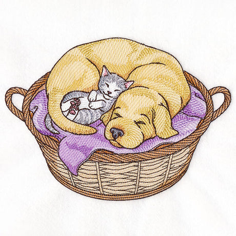 Cuddling Friends Cat and Dog