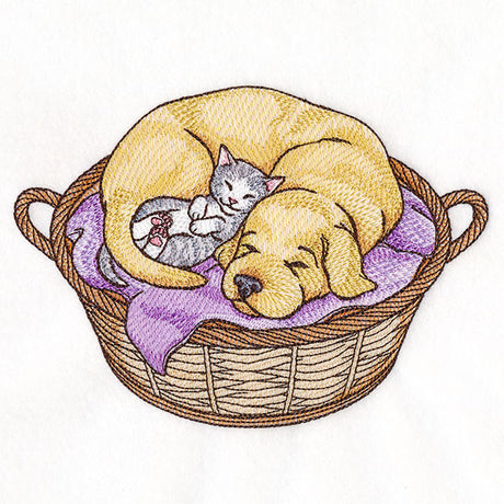 Cuddling Friends Cat and Dog