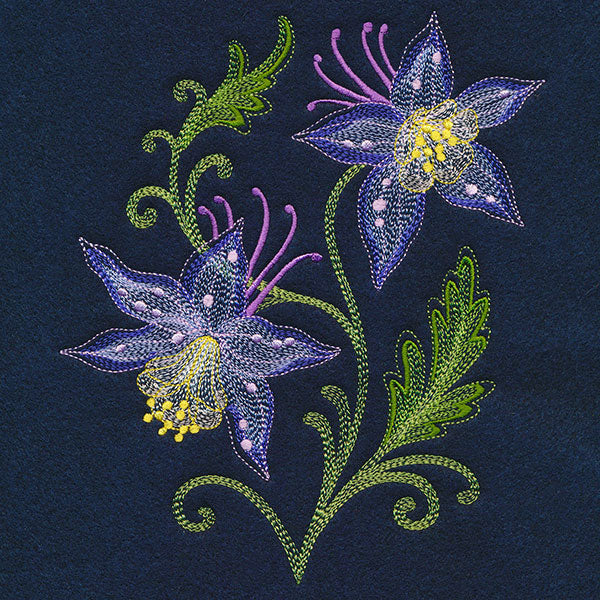 Sheer Magic Columbine