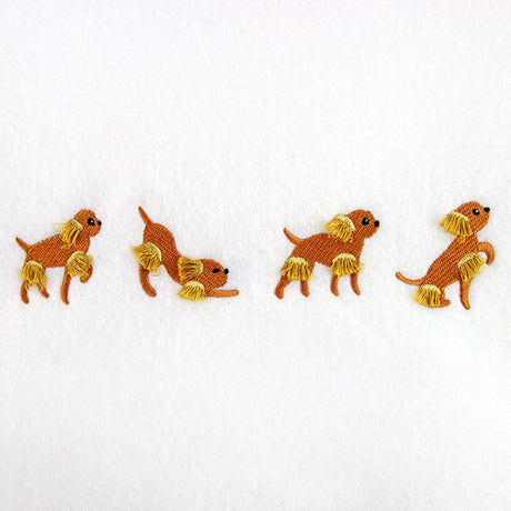 A Dog's Life Border (Fringe)