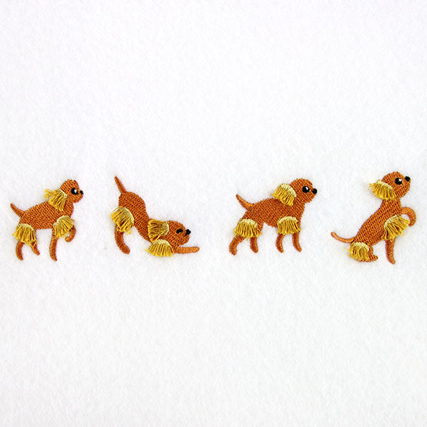 A Dog's Life Border (Fringe)