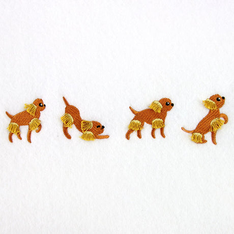 A Dog's Life Border (Fringe)