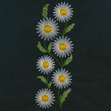 Wild Charms Tall Daisy Border