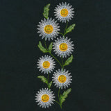Wild Charms Tall Daisy Border