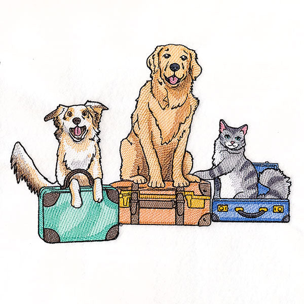 All Packed Up Pets