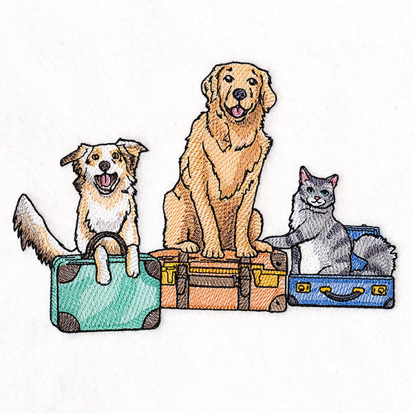All Packed Up Pets
