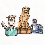 All Packed Up Pets