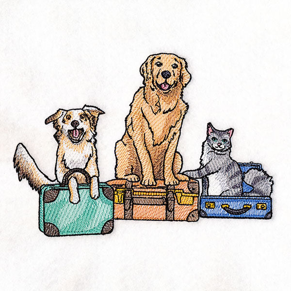 All Packed Up Pets