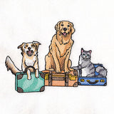 All Packed Up Pets