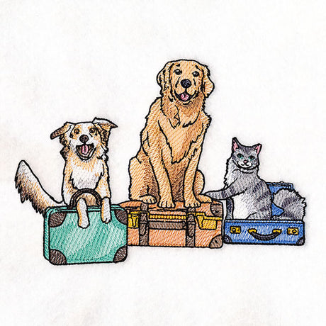 All Packed Up Pets