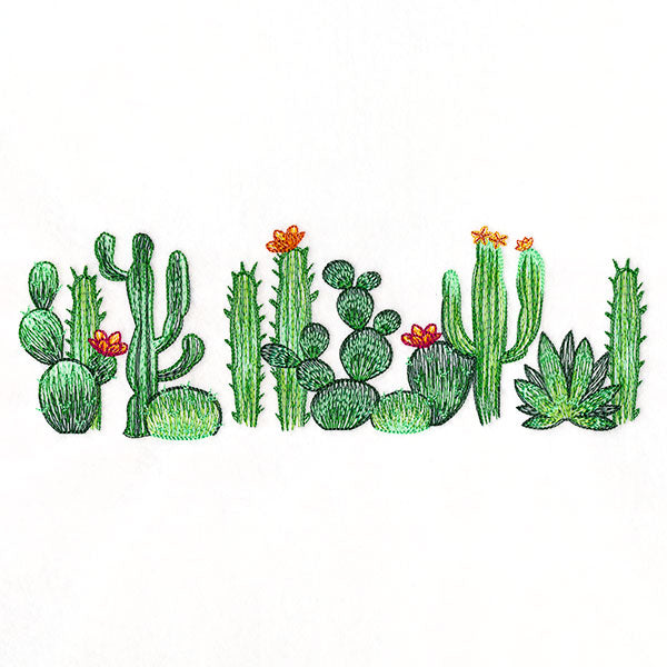 Southwest Cactus Border