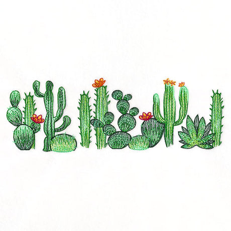 Southwest Cactus Border