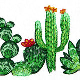 Southwest Cactus Border