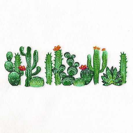 Southwest Cactus Border