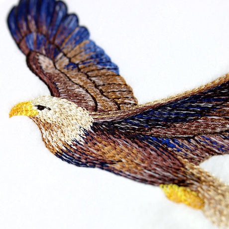 Carried Away Bald Eagle