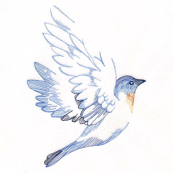 Contours of Beauty Bluebird