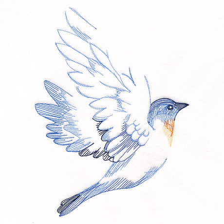 Contours of Beauty Bluebird