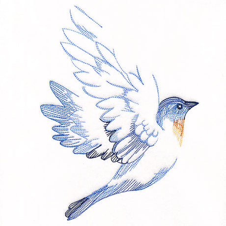 Contours of Beauty Bluebird