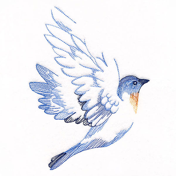 Contours of Beauty Bluebird