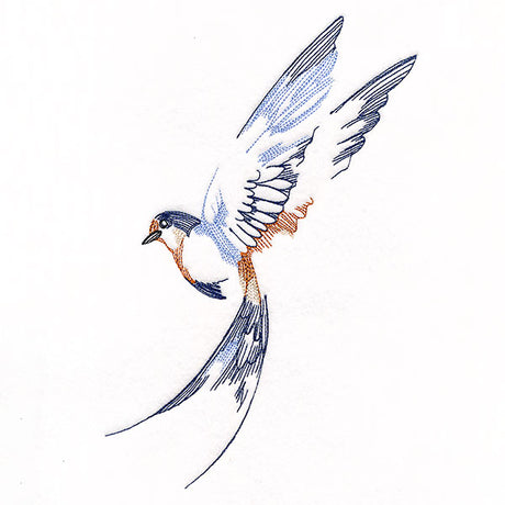 Contours of Beauty Swallow