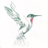 Contours of Beauty Hummingbird