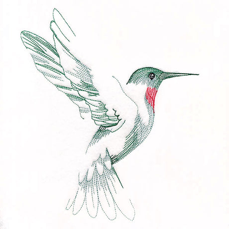 Contours of Beauty Hummingbird