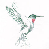 Contours of Beauty Hummingbird