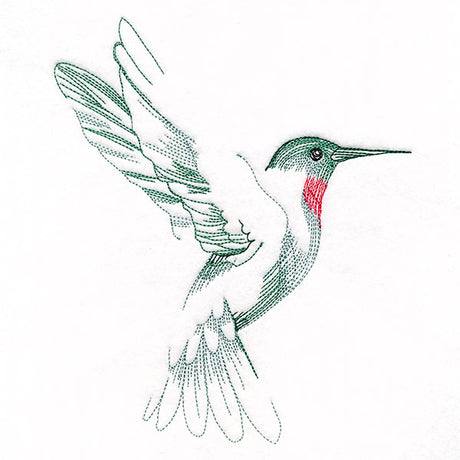 Contours of Beauty Hummingbird