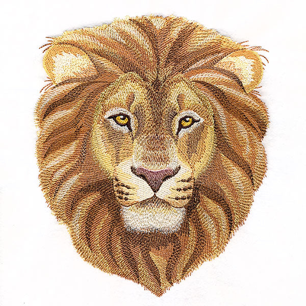 Pride & Majesty Lion